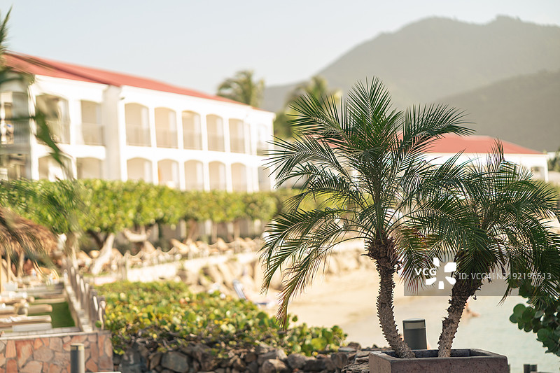 圣马丁的海滨度假村，棕榈树与美丽的景色图片素材