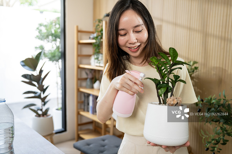年轻女性在窗边用喷雾器照顾室内植物图片素材