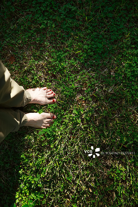 大自然的根基：赤脚踩在绿色草地上，俯视图象征着和平与连接。图片素材