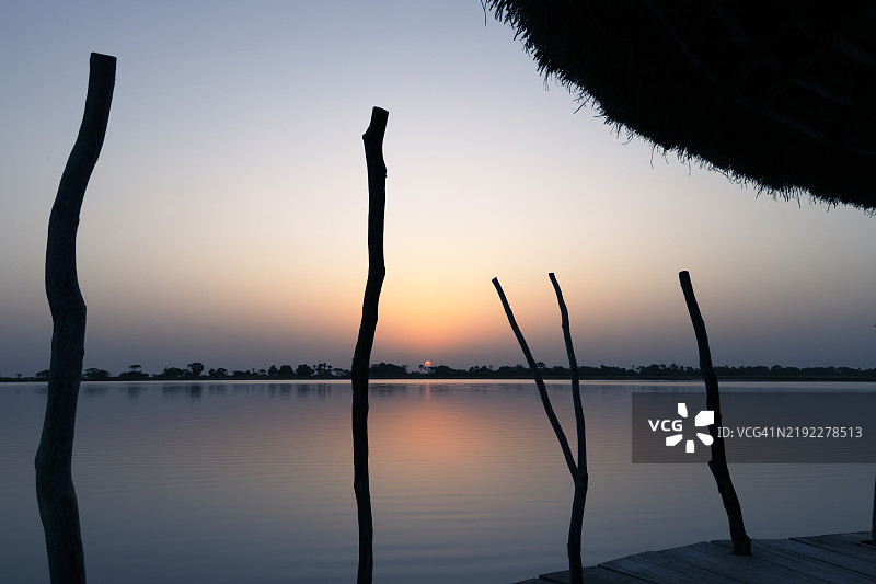 塞内加尔萨卢姆三角洲国家公园图片素材