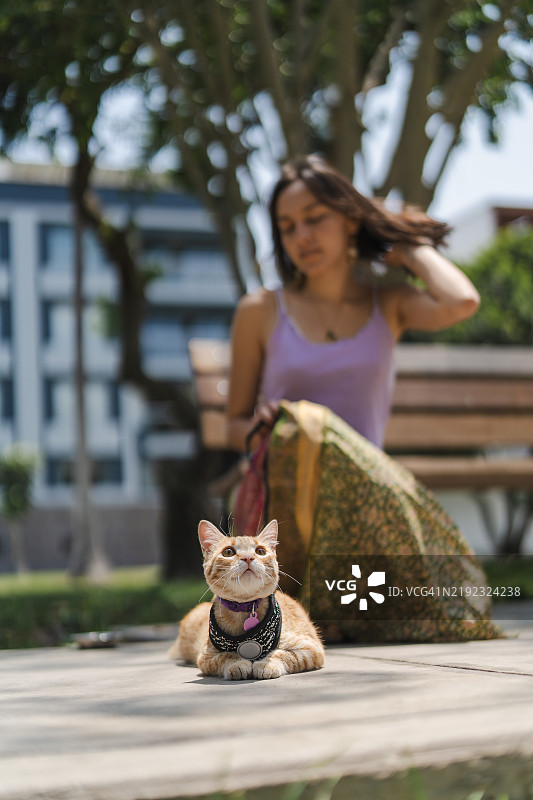 年轻女子和她的猫在公园里享受美好时光图片素材