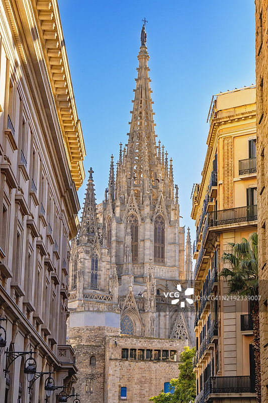 巴塞罗那大教堂被哥特区街道环绕，西班牙巴塞罗那图片素材