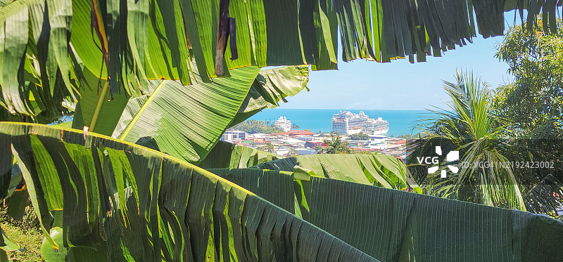 加勒比海港口的热带景观与游轮图片素材