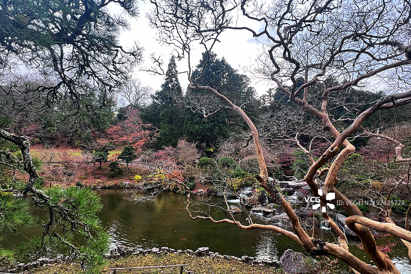 日本庭园图片素材