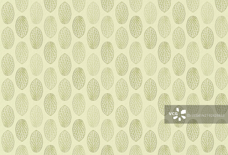 在浅绿色纹理纸背景上重复无缝的神经植物（Fittonia argyroneura）叶子图案。图片素材