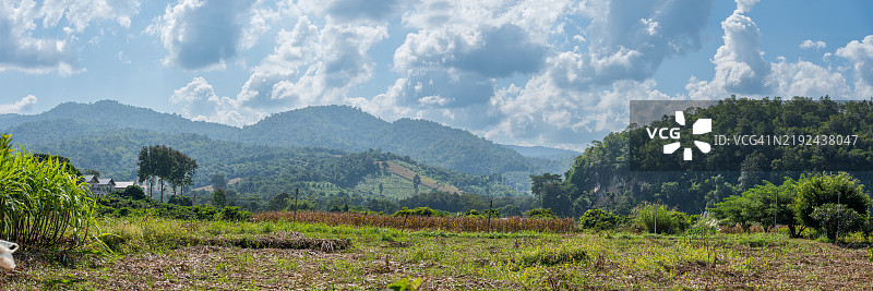 泰国乡村的耕作田野和起伏山丘的全景视图图片素材