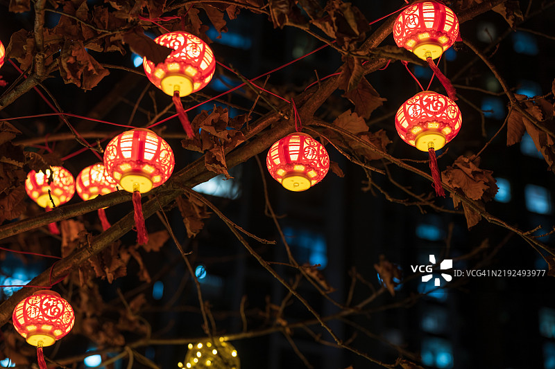 冬夜树上挂着中国灯笼图片素材