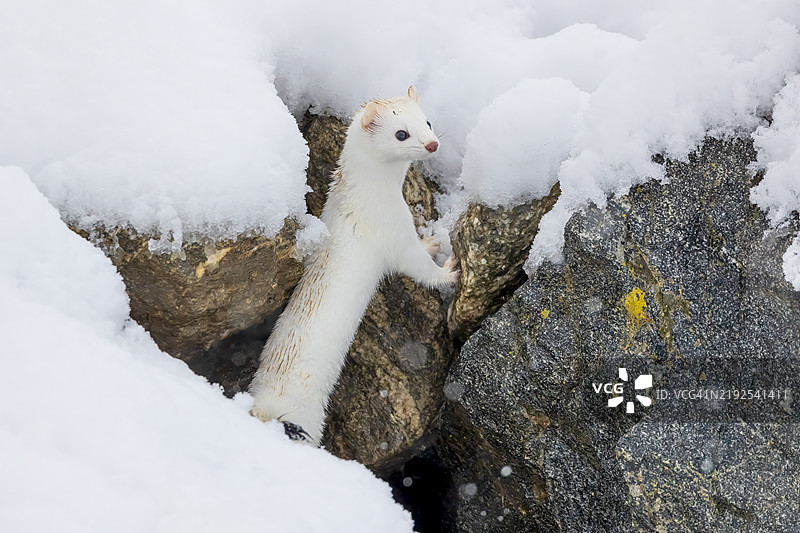 攀岩者图片素材
