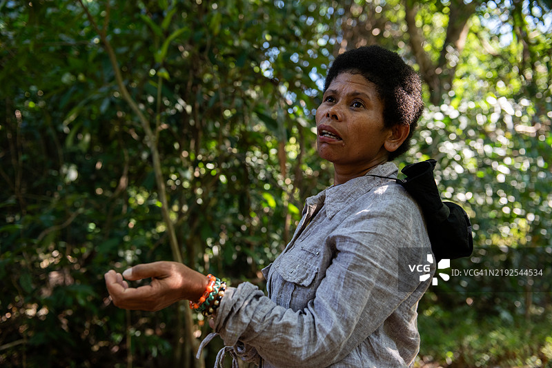 土著阿伊塔人在森林中采集植物用于草药。图片素材