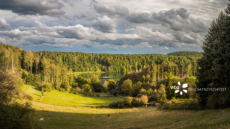 普尔弗尔湖的景观，这是一个被树木和林地环绕的火山湖和火山口，位于德国火山路线的艾菲尔国家公园（火山艾菲尔）内，属于联合国教科文组织地质公园，前景是牧场，地点：道恩 - 莱茵兰-普法尔茨 - 德国。图片素材