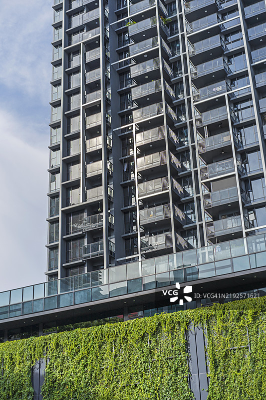 办公楼公寓垂直花园图片素材