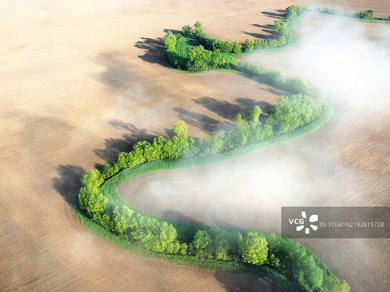 田野上的雾霭清晨图片素材