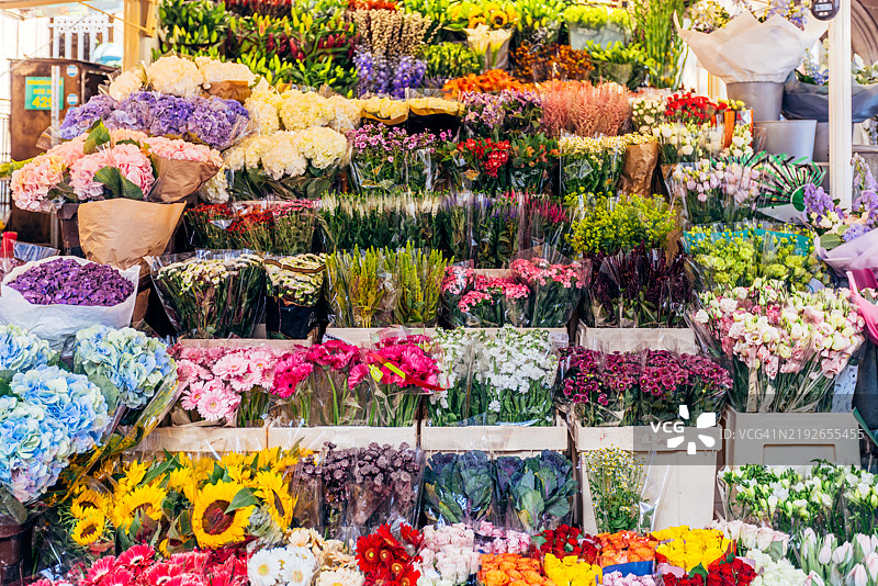 伦敦，英格兰，英国街头花店出售的五彩缤纷的新鲜花卉图片素材