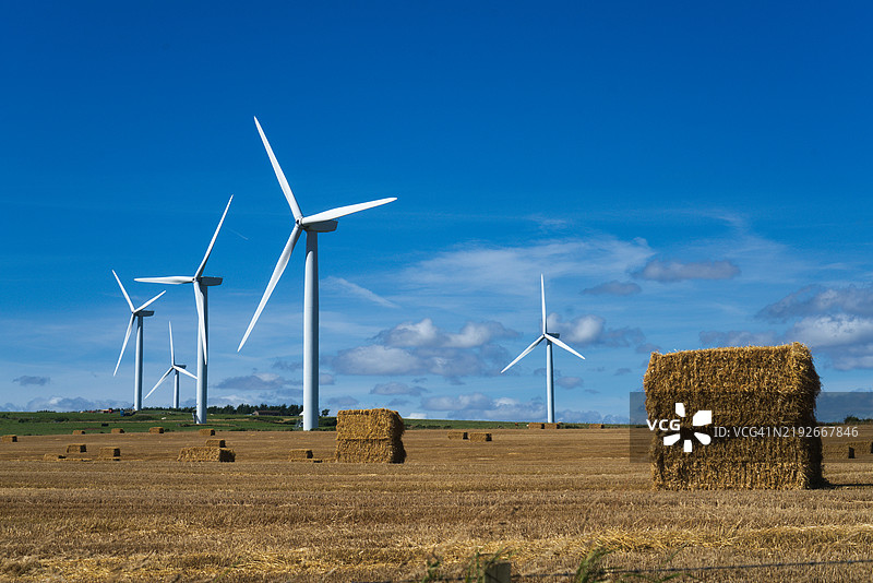 俯瞰收割后的田野，堆满了干草捆，靠近A90主干道，位于劳伦斯基尔，蒙特罗斯以北。阿伯丁郡，高地地区，苏格兰，英国图片素材