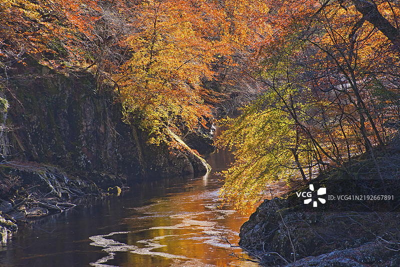 秋季风景色彩在加里河上，穿过基利克兰基峡谷。基利克兰基，佩斯和金罗斯，苏格兰，英国图片素材