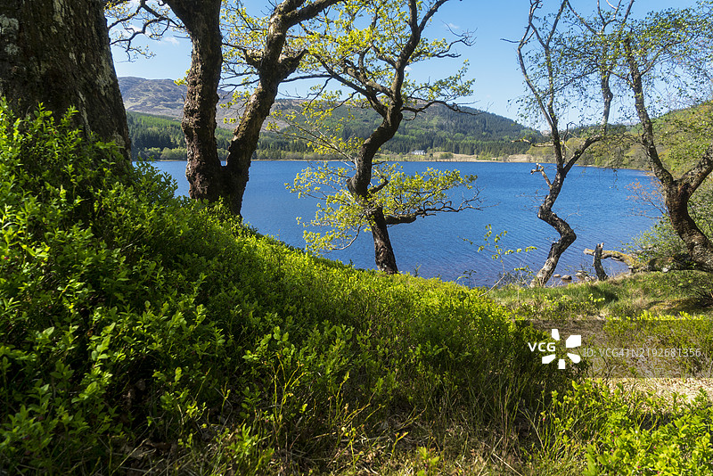 洛赫琼，春季色彩，阿伯福伊尔，斯特灵郡；特罗斯achs；苏格兰，英国图片素材