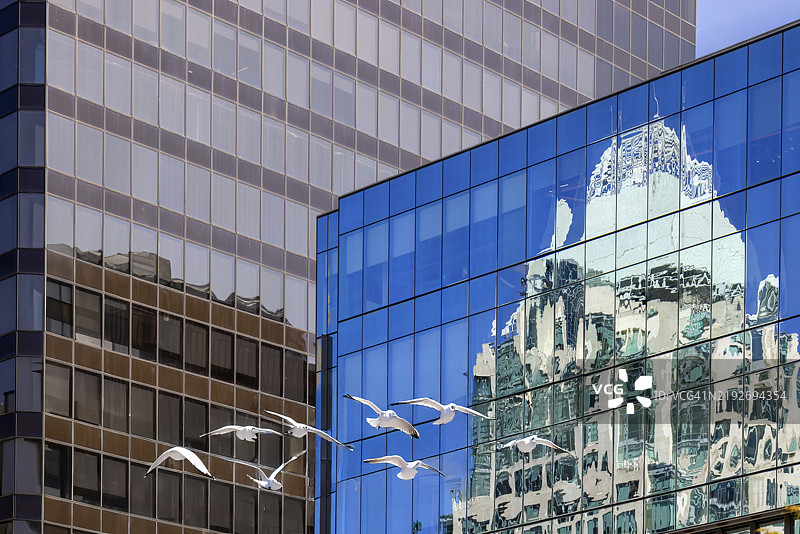 温哥华金融区的美丽天际线，位于市中心的罗布森广场附近图片素材