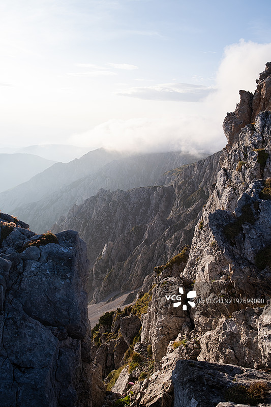 雾中的森林和山脉日出图片素材