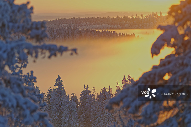 日落时分，芬兰莱克萨的科利，树木与天空的美丽景色图片素材