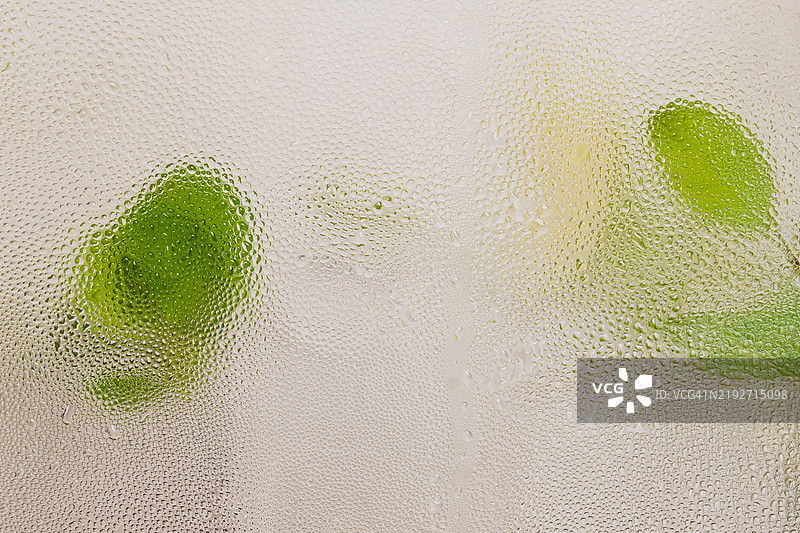 带有薄荷叶的水浸泡水滴背景纹理图片素材