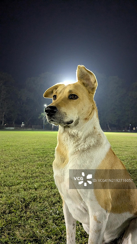 混合物在天空下的特写镜头图片素材