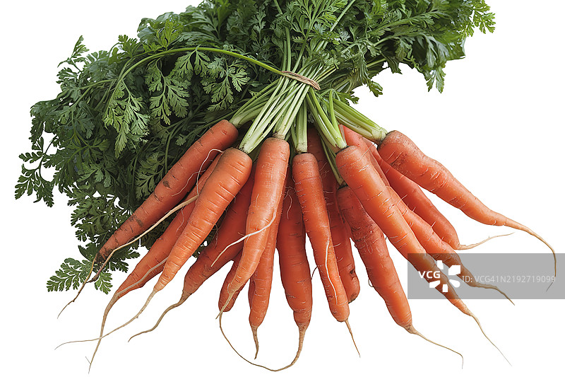 一束新鲜有机胡萝卜，带有绿色叶子图片素材