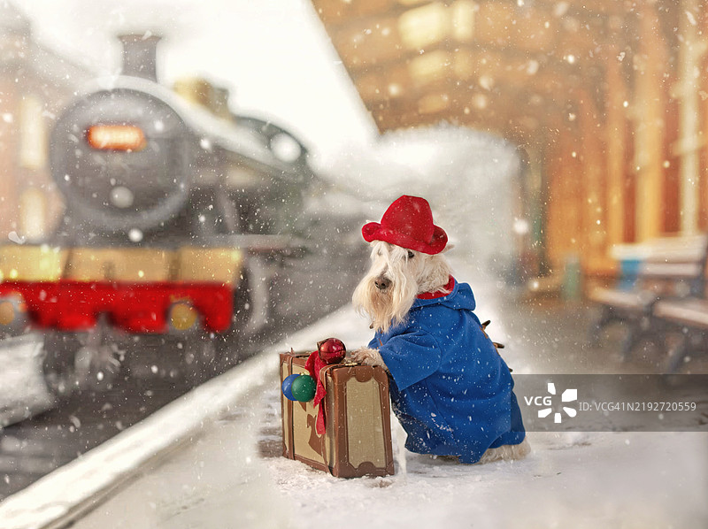 可爱的小男孩在玩雪图片素材