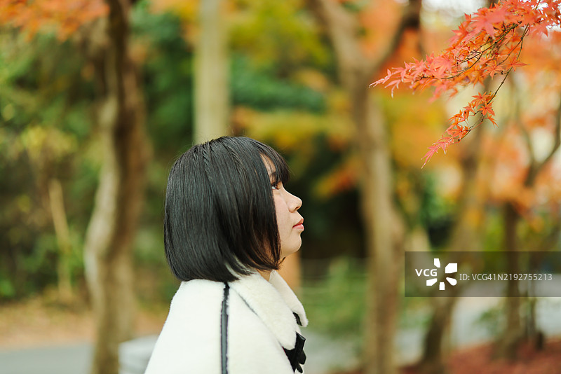 美丽的女性享受秋天的树叶图片素材