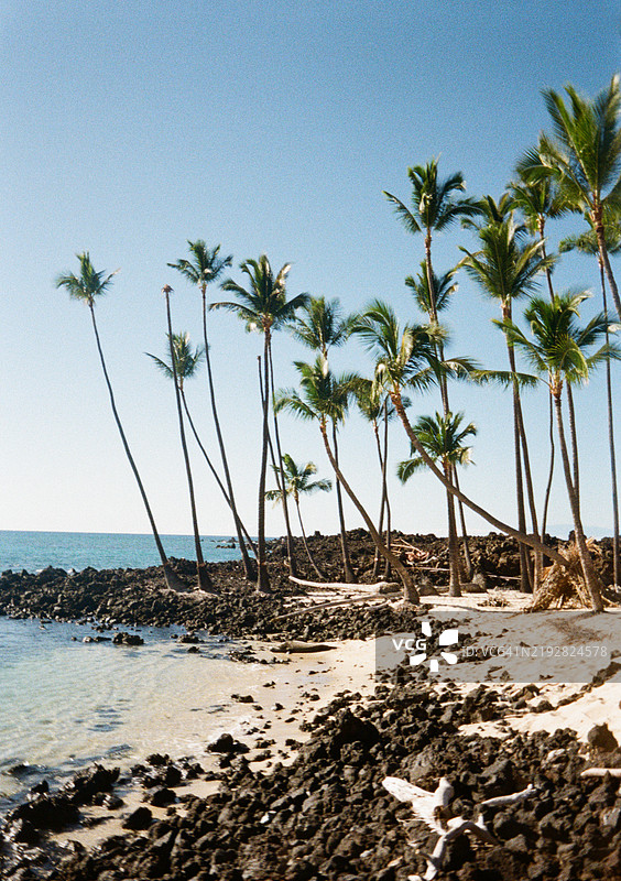 夏威夷海滩，金色沙滩、碧蓝海水和棕榈树。图片素材