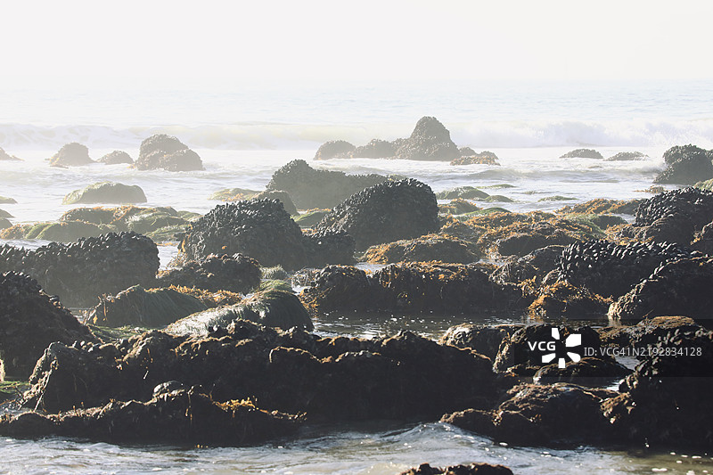 退潮后的岩石海底图片素材