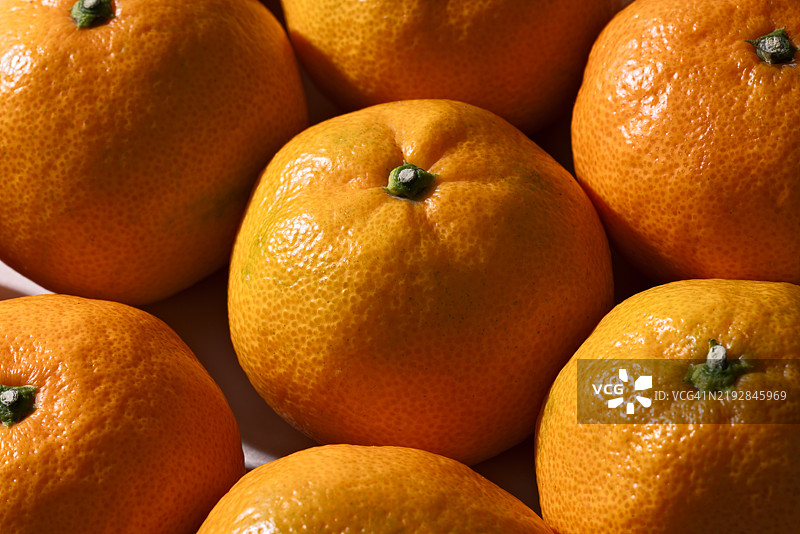 蜜柑特写镜头图片素材