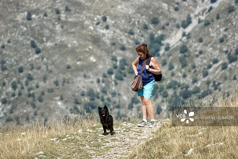 在山上与小狗一起图片素材