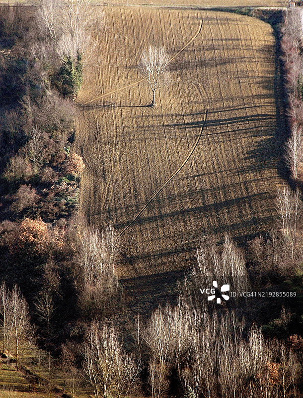 从托迪俯瞰乡村：翁布里亚的树木和耕地图片素材
