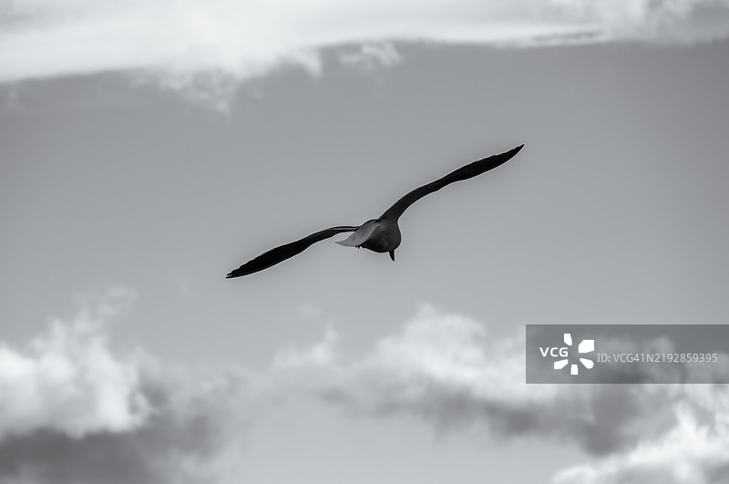 从低角度看飞行中的护卫舰，乌斯怀亚，阿根廷图片素材