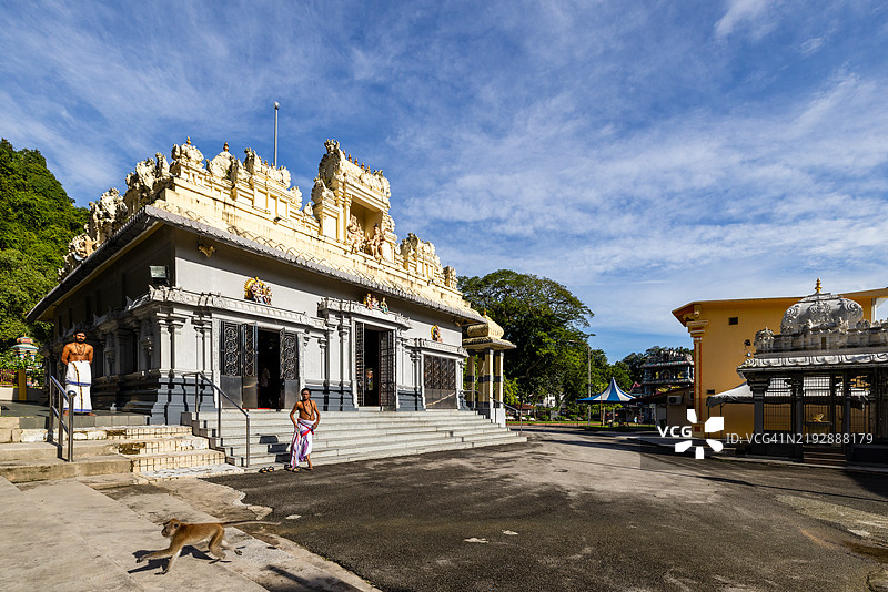 槟城阿鲁尔米古斯里甘尼沙寺的猴子。图片素材
