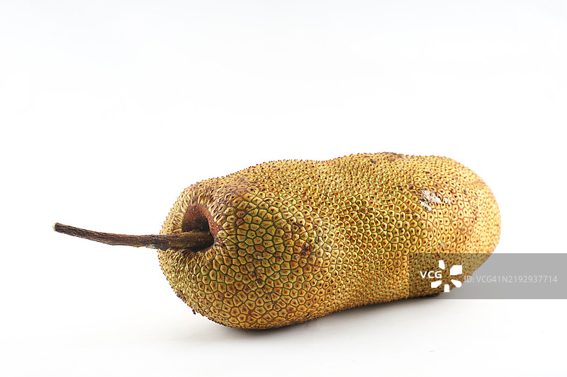 亚洲生的榴莲果图片素材