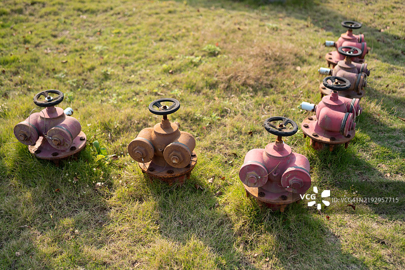 公园草坪上有很多消防栓。图片素材