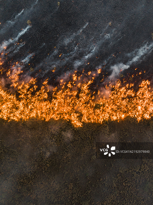 无人机拍摄的图像展示了澳大利亚内陆烧毁与未烧毁灌木丛之间的对比，拍摄于西澳大利亚金伯利地区的燃烧边缘。图片素材