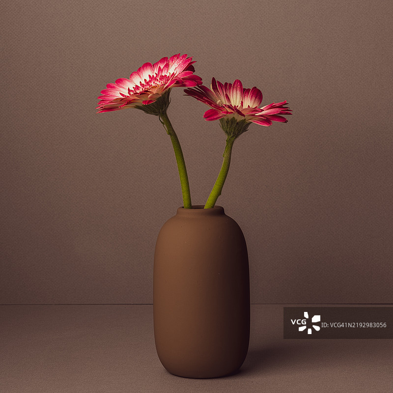 靠近墙壁的花瓶特写，美国，USA图片素材