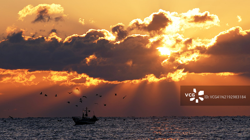 夕阳下，韩国海面上飞翔的鸟类剪影图片素材