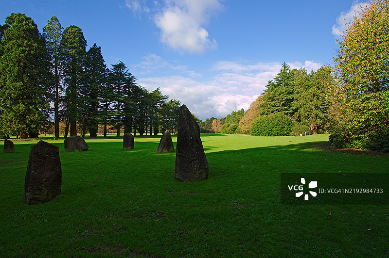 田野上的树木与天空相映成趣图片素材