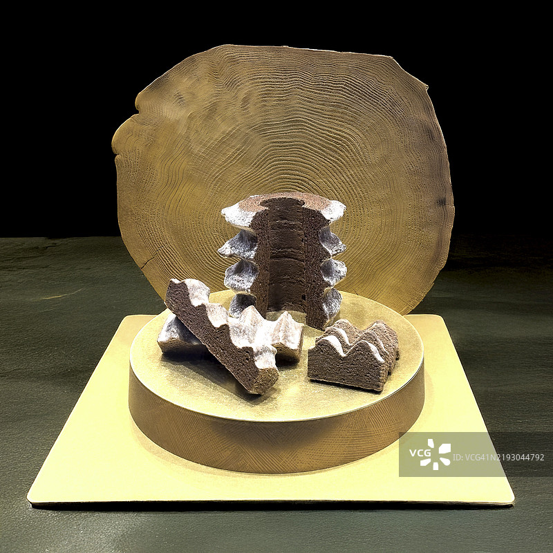 树木蛋糕：自然的一片图片素材