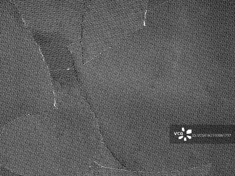 撕裂和粘贴的纸张特写，偏移印刷（黑色、灰色和白色点的网状图案）。图片素材