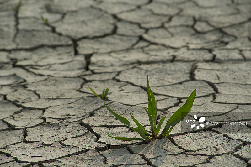 京畿道始兴市的始兴盖谷图片素材