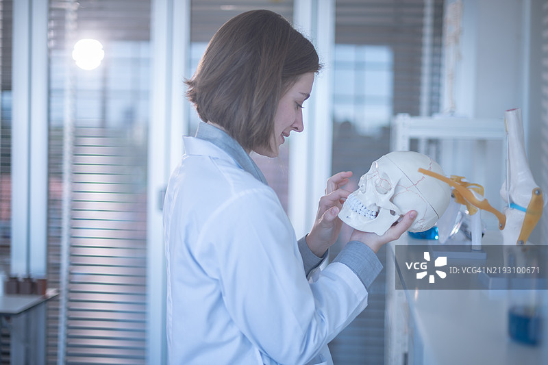 女性在实验室中检查头骨模型，强调解剖学研究、医学研究、教育环境、科学探索和医疗学习。图片素材