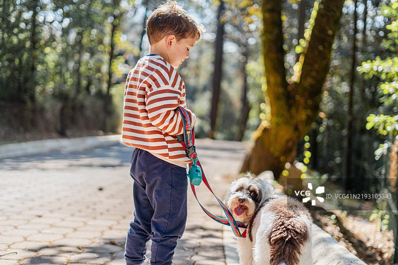 男孩牵着狗散步图片素材