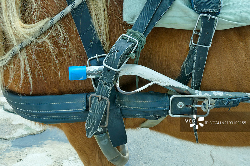 马车的特写镜头图片素材