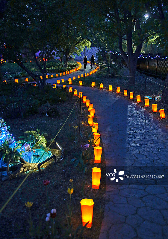 沃德-米德植物园的光辉图片素材