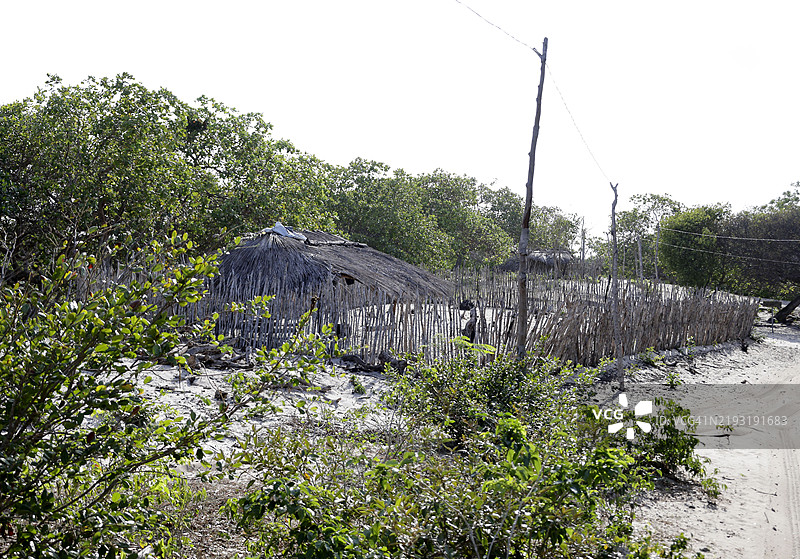巴西马拉尼昂州的山羊庇护所围栏图片素材