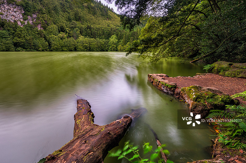 亚速尔群岛圣米格尔岛的孔格罗湖，湖面上有树干和水中的倒影，展现出美丽的自然风光。绿色的色调和环境。图片素材
